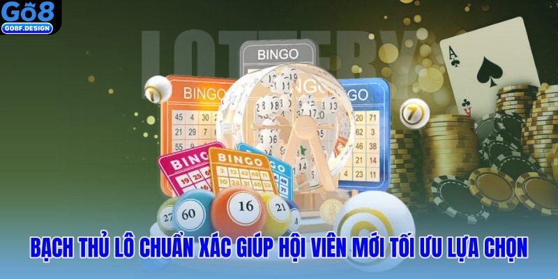 Bạch thủ lô chuẩn xác giúp hội viên mới tối ưu lựa chọn