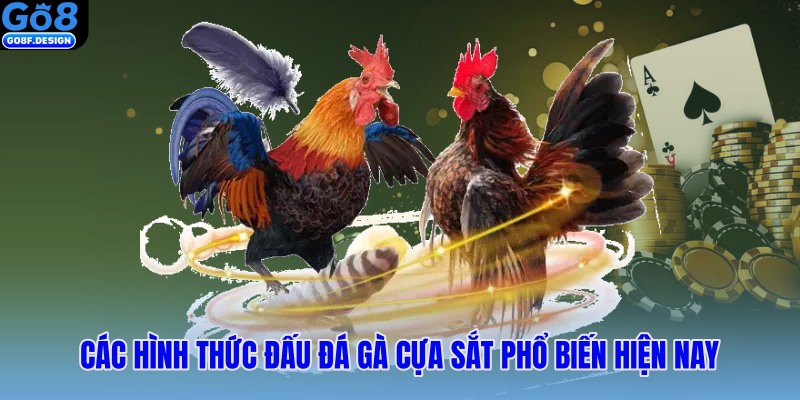 Các hình thức đấu đá gà cựa sắt phổ biến hiện nay