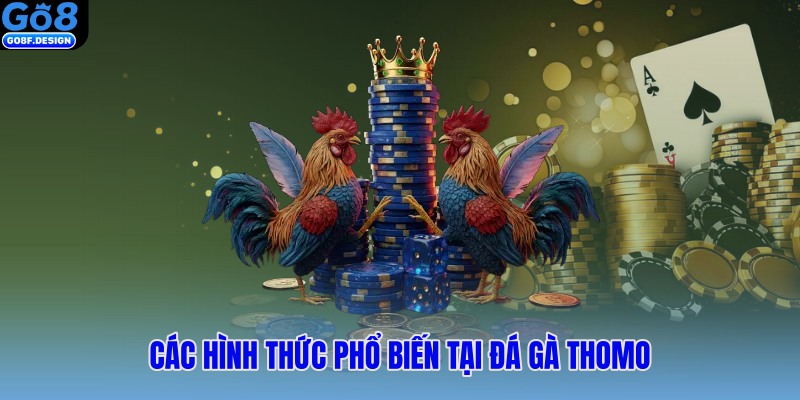 Các hình thức phổ biến tại đá gà Thomo