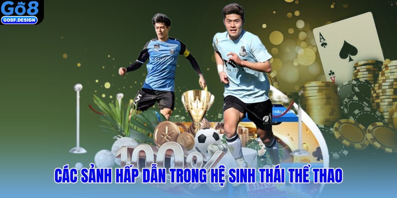 Các sảnh hấp dẫn trong hệ sinh thái thể thao