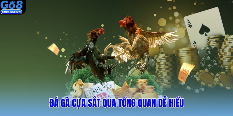 Đá gà cựa sắt qua tổng quan dễ hiểu