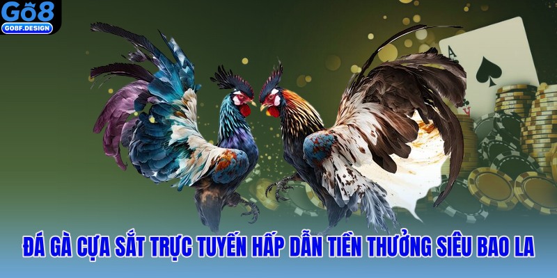 Đá gà cựa sắt trực tuyến hấp dẫn tiền thưởng siêu bao la