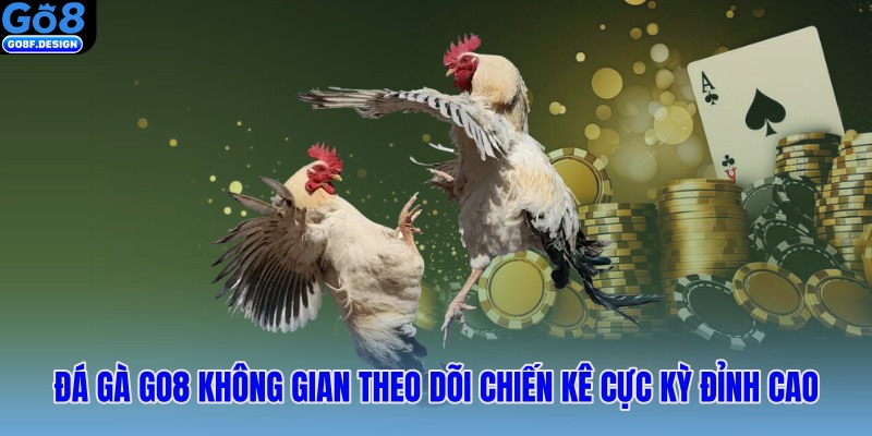 Đá gà GO8 không gian theo dõi chiến kê cực kỳ đỉnh cao