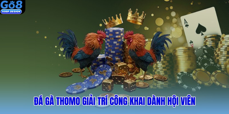 Đá gà Thomo giải trí công khai dành hội viên