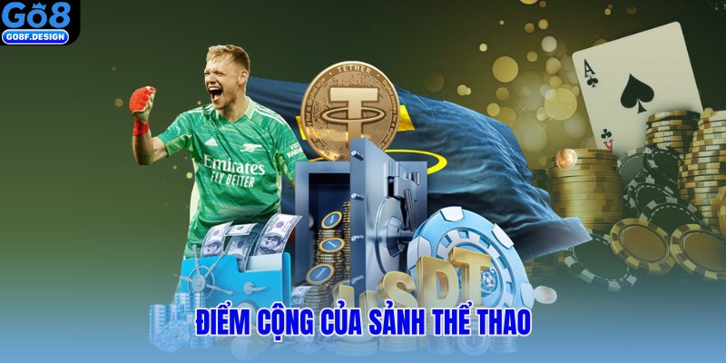 Điểm cộng của sảnh thể thao