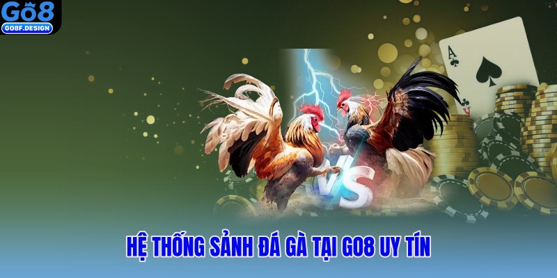 Hệ thống sảnh đá gà tại GO8 uy tín