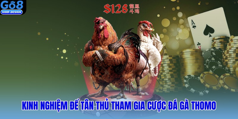 Kinh nghiệm để tân thủ tham gia cược đá gà Thomo