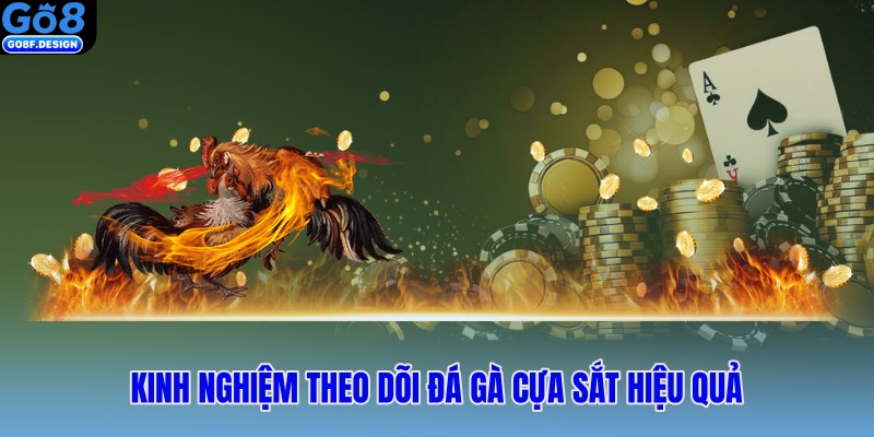 Kinh nghiệm theo dõi đá gà cựa sắt hiệu quả 