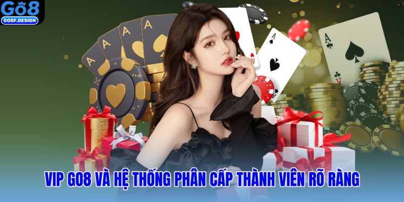 VIP Go8 và hệ thống phân cấp thành viên rõ ràng