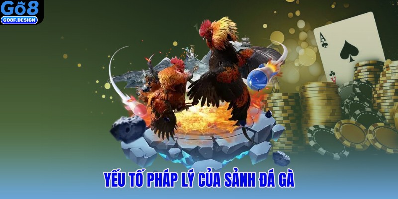 Yếu tố pháp lý của sảnh đá gà